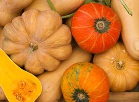 verscheidenheid van vers squash foto