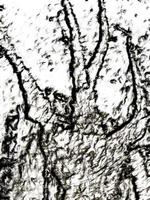 digitale illustratie boomtakken achtergrond foto