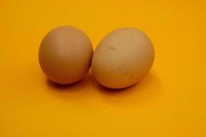 twee kip eieren geïsoleerd Aan achtergrond foto