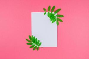 wit brief bespotten omhoog met vers groen bladeren foto