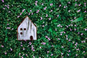 leven in een harmonie levensstijl concept. houten huis model- Aan groen gras. dichtbij naar natuur foto