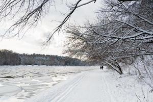 wandelen pad langs rivier- met ijs drijvend foto