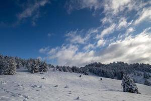 winter Aan de berg foto