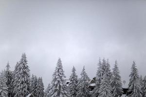 winter Aan de berg foto