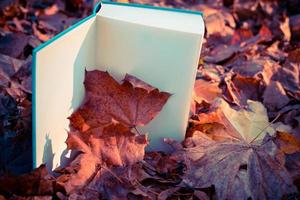 Open boek met esdoorn- blad in de herfst gebladerte foto