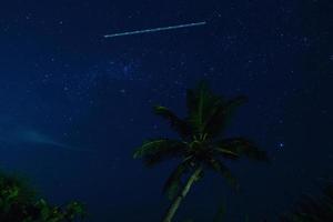 toneel- nacht lucht met een veel van sterren en palm boom foto