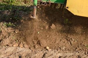 een gemechaniseerd methode van oogsten aardappelen in de dorp. foto