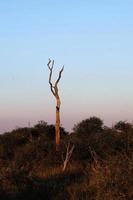 landschappen van zuidelijk Afrika foto