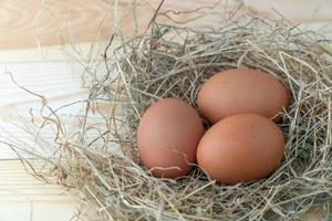 vers bruin kip eieren in hooi nest Aan blauw houten achtergrond. concept van biologisch eieren, vrij ruimte voor tekst of andere elementen foto