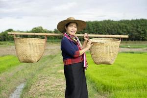 Aziatisch boer vrouw is Bij rijstveld veld, draagt twee manden Aan schouders. concept , boer werk biologisch landbouw. traditioneel bezetting in landelijk van Thailand. foto
