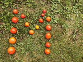 brief gemaakt van tomaat. opschrift van groenten. de brief m is bekleed met rood, roze, geel, sappig en ronde tomaten. vitamine salade, Aan een geel gras achtergrond. nuttig opschrift foto