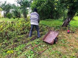 een tuinman in een warm, grijs, wollen trui wandelingen door de verhaal met een kar. metaal trolley voor vervoeren gewassen. herfst tuin zorg, oogsten, graven aardappelen foto