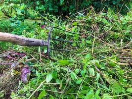 stapel met gras en meststoffen. aanvulling van de hoop met een hooivork. de boer is verbeteren zijn plaats. tuin werk creëren milieuvriendelijk meststoffen voor fabriek groei en ontwikkeling foto