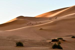 zand duinen landschap foto