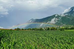 regenboog aan de overkant een veld- foto