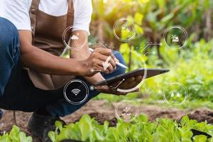 Mens handen tuinieren sla in boerderij met groei werkwijze en chemisch formule Aan groen achtergrond. met vr icoon foto
