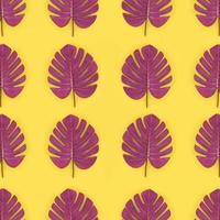 tropisch palm monstera bladeren leugens Aan een pastel gekleurde papier. natuur zomer concept patroon. vlak leggen samenstelling. top visie foto