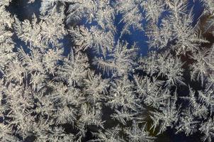 sneeuwvlokken vorst rijmen macro Aan venster glas deelvenster foto