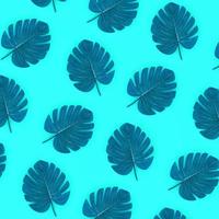tropisch palm monstera bladeren leugens Aan een pastel gekleurde papier. natuur zomer concept patroon. vlak leggen samenstelling. top visie foto