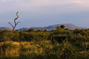 landschappen van zuidelijk Afrika foto