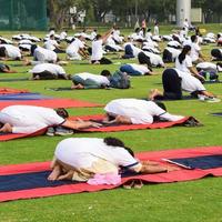 groep yoga oefening sessie voor mensen van verschillend leeftijd groepen Bij krekel stadion in Delhi Aan Internationale yoga dag, groot groep van volwassenen Bijwonen yoga sessie foto