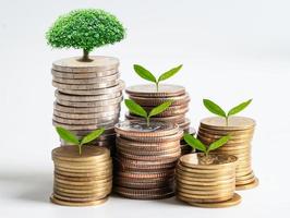 boom blad Aan opslaan geld munten, bedrijf financiën besparing bank investering concept. foto