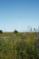 windmolens staan tegen een blauw bewolkt lucht foto