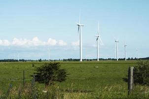 windmolens staan tegen een blauw bewolkt lucht foto