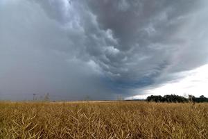 krachtig onweersbui met wolken over- een veld- in Duitsland foto