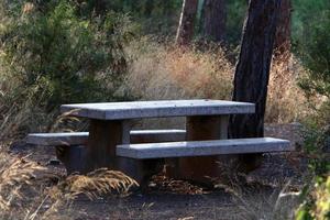 bank voor rust uit in een stad park in Israël. foto