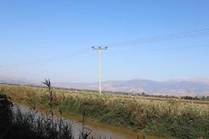 draden Aan een pool draag- hoog Spanning elektrisch huidig. foto