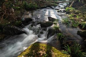 klein waterval in regen Woud rots en rivier- ecologie en mooi natuur, milieu en reizen concept landschap foto