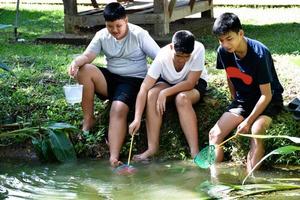 drie midden- school- jongens in zuidoosten Azië houden apparaten naar studie en onderzoeken de ecologie van de onder water ze leven in. ideeën voor aan het leren buiten de klas, zacht en selectief focus. foto