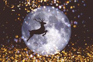 achtergrond voor Kerstmis rendier rennen in de lucht met de maan Aan een zwart achtergrond foto