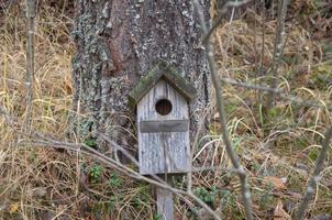 vogel voeder staat in de buurt een boom, vogel huis foto