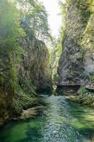 landschap in Slovenië, Europa foto