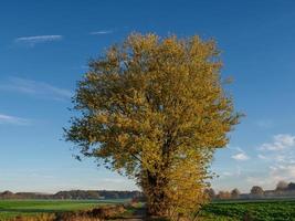 herfst tijd Bij een rivier- in Duitsland foto