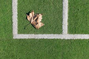 kunstmatig grasmat voetbal veld, een hoek markeerstift lijn. foto