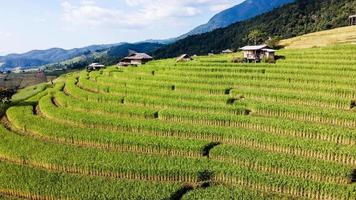 antenne visie van rijst- terras Bij verbod vader bong piang in Chiang mai Thailand foto