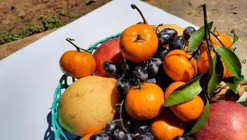 dichtbij omhoog van appels, peren, druiven en sinaasappels in groen mand 04 foto