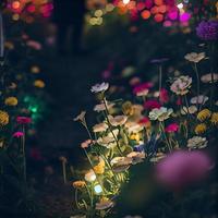 veld- van bloeiend bloemen in een betoverd tuin met fee lichten foto