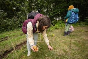 moeder en kinderen zoeken champignons in de wild Woud. vrouw houden boterbloem paddestoel. foto