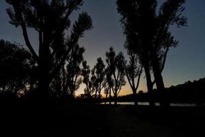 silhouetten van bomen over- de meer in zonsopkomst ochtendgloren. foto
