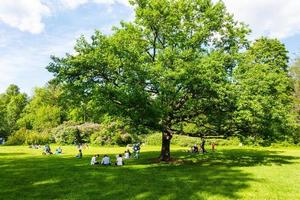 mensen kom tot rust Aan de vers groen gazon van de park in de schaduw van een oud eik boom, een weekend in de stad in zomer foto