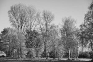 Bij een kasteel in Westfalen foto