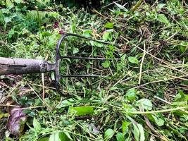 metaal hooivorken met tanden zetten gras in een hoop. overdracht van meststoffen naar de compost pit. creatie van eco kunstmest voor fabriek voeding. oud roestig hooivork foto