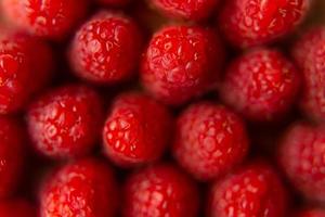 framboos detailopname Aan een mooi stellage, zomer fruit. foto