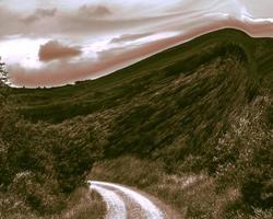 digitale illustratie zomer landschap achtergrond foto