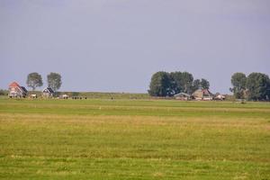 platteland dag visie foto