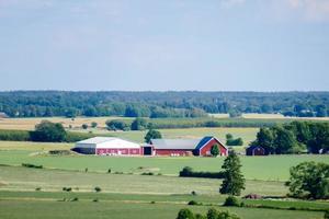 landschap in Zweden, Europa foto